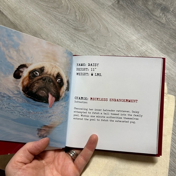 Pugs & Kisses 100% Cotton Tote with Pug Mugs Good Pugs Gone Bad Book NEW - Picture 8 of 9